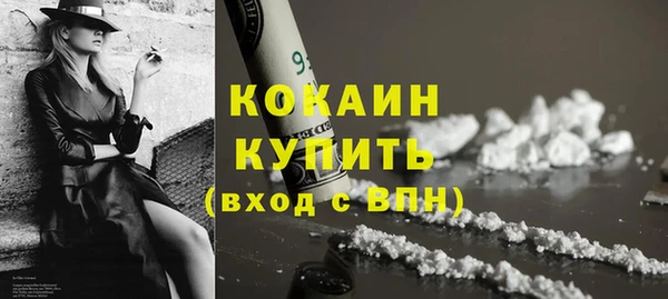 шишки Медвежьегорск