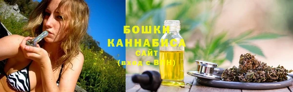 ПСИЛОЦИБИНОВЫЕ ГРИБЫ Вяземский