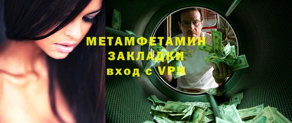 шишки Медвежьегорск